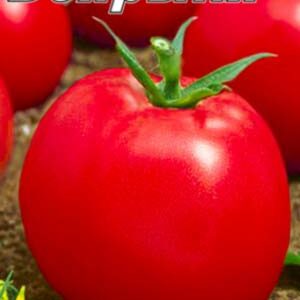 Томат Бояриня пакет 20 насінин