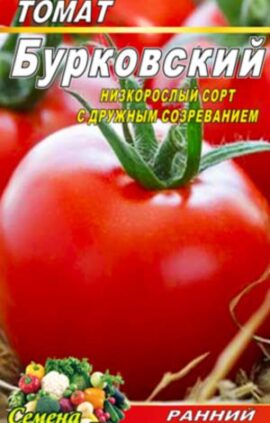 Томат Бурковський