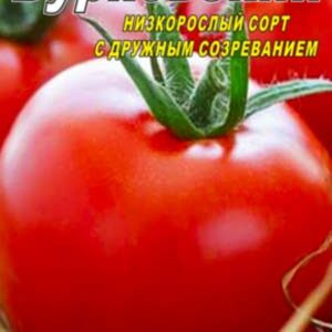 Томат Бурковський