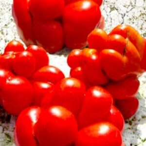 Томат Чеснови пакет 20 насінин