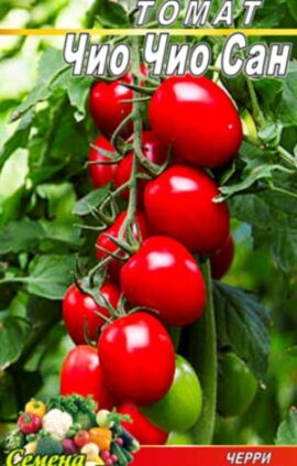 Томат Чіо Чіо Сан пакет 20 насінин