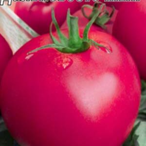 Томат Далекосхідний рожевий пакет 20 насінин
