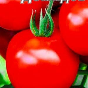 Томат Демидов пакет 20 насінин