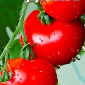 Томат Денис пакет 20 насінин