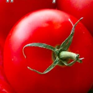 Томат Домашній різносол пакет 20 насінин