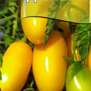 Томат Динний пакет 20 насінин