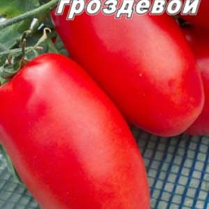 Томат Французский гроздевой 20 семян