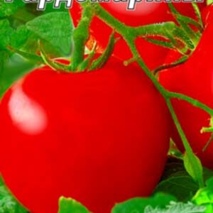 Томат Гардемарини пакет 20 насінин