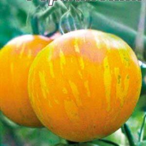 Томат Німецький смугастий пакет 20 насінин