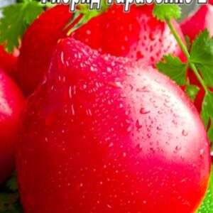 Томат Гібрид 2 Тарасенко пакет 20 насінин