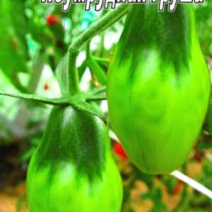Томат Смарагдова груша пакет 20 насінин