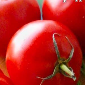 Томат Київ-град пакет 20 насінин