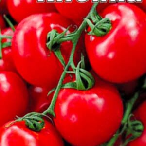 Томат Кнопка пакет 20 насінин