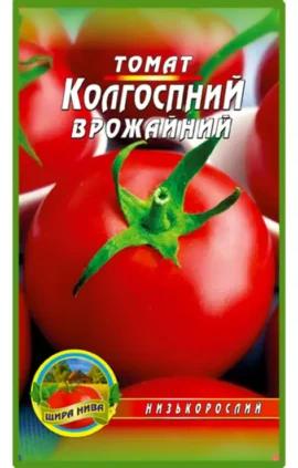 Томат Колгоспний урожайний пакет 100 насінин