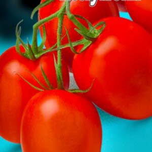 Томат Колумбія пакет 20 насінин