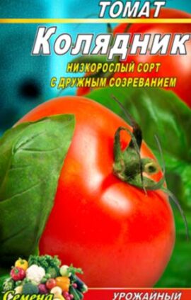 Томат Колядник пакет 20 насінин