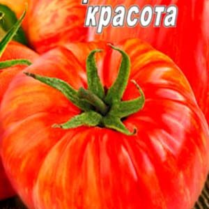 Томат Королівська краса пакет 20 насінин