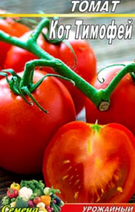 Томат Кот Тимофій пакет 20 насінин