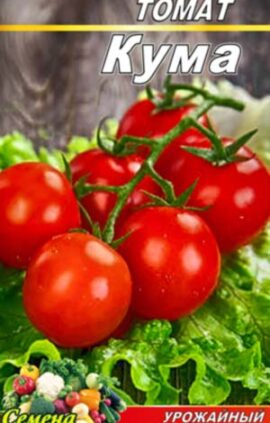 Томат Кума пакет 20 насінин