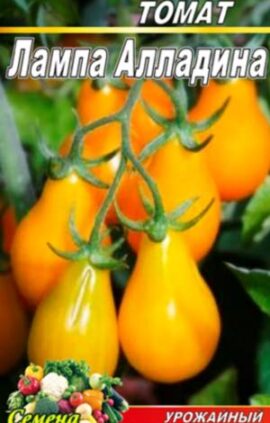 Томат Лампа Аладіна пакет 20 насінин