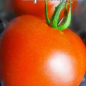 Томат Мармеладний пакет 20 насінин