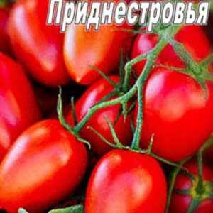 Томат Новинка Придністров'я пакет 20 насінин