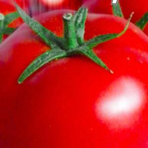 Томат Олігарх пакет 20 насінин