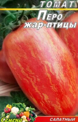 Томат Перо Жар-птиці пакет 20 насінин