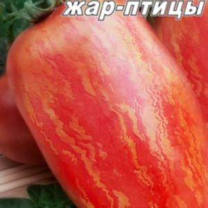 Томат Перо Жар-птиці пакет 20 насінин