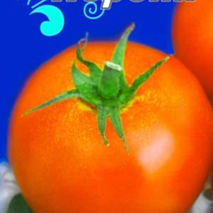 Томат Персик пакет 20 насінин