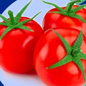 Томат Подарунковий пакет 20 насінин