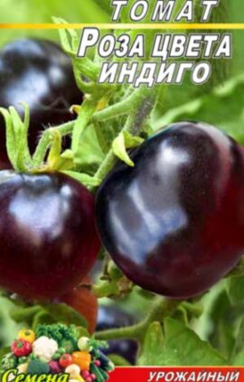 Томат Троянда кольору індиго