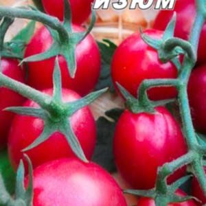 Томат Рожеві родзинки пакет 20 насінин