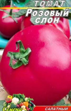 Томат Рожевий слон
