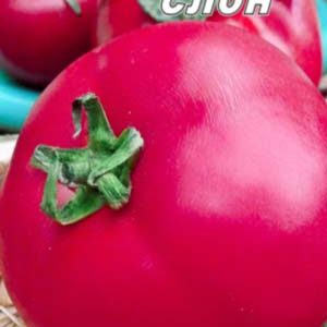 Томат Рожевий слон