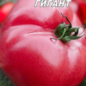Томат Цукровий гігант пакет 20 насінин