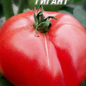 Томат Сибірський гігант пакет 20 насінин