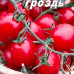 Томат Солодка грона пакет 20 насінин