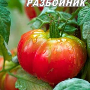 Томат Соловій Розбійник пакет 20 насінин
