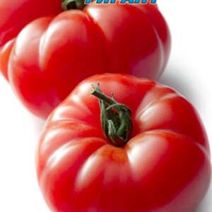 Томат Украинский гигант 20 семян