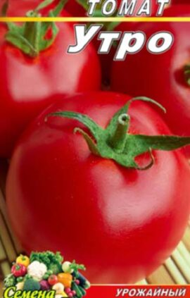 Томат Утро 20 семян