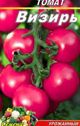 Томат Візир