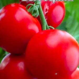 Томат Володимир Висоцький пакет 20 насінин