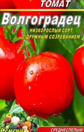 Томат Волгоградец пакет 20 насінин