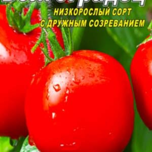 Томат Волгоградец пакет 20 насінин