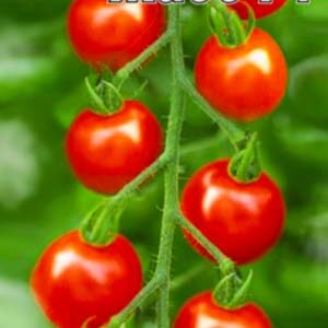 Томат Де Барао чорний пакет 20 насінин