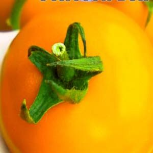 Томат Золоте століття пакет 20 насінин