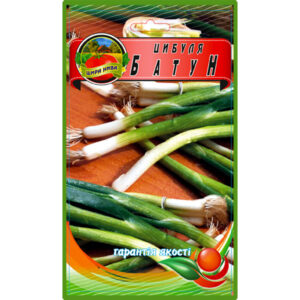 Цибуля Батун пакет 3 грамів
