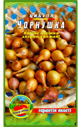 Цибуля Чорнушка пакет 500 насінин