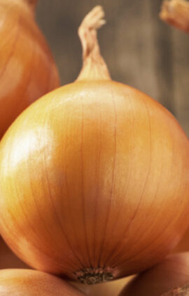 Цибуля Крусадо сітка 1 кг розмір 10/12